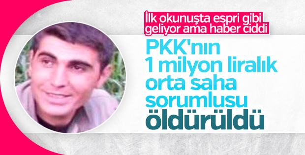 1 milyon TL ödüllü terörist öldürüldü
