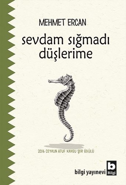 Bilgi Yayınevi’nden 3 yeni şiir kitabı