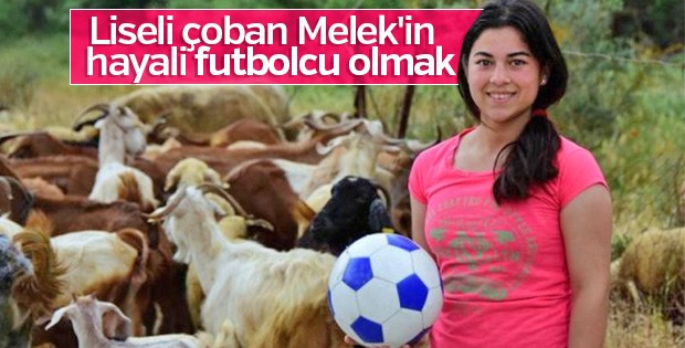 Liseli Melek hem çobanlık yapıyor hem okuyor