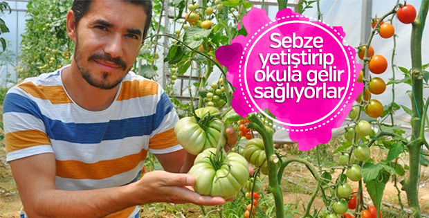 Öğrencilerden sebze üretimi