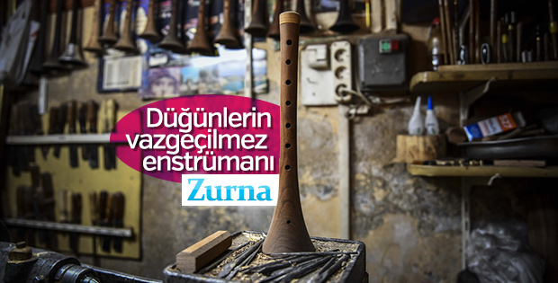 Kurumuş kayısı ağaçlarından zurna yapıyor