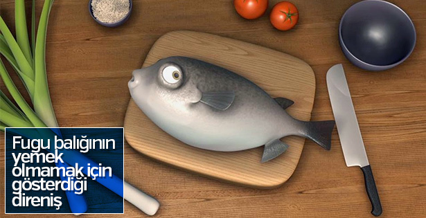 Yemek olmamak için direnen balığın dramı: Fugu Balık