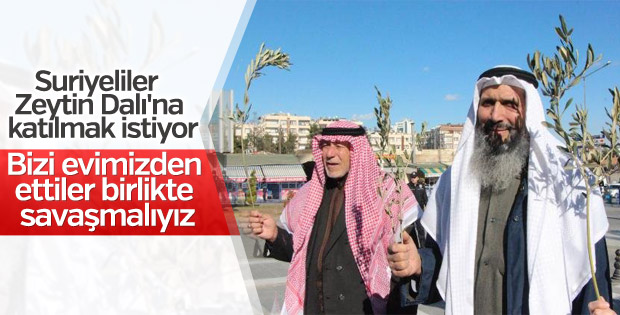Şanlıurfa'da Suriyeliler Zeytin Dalı'na destek verdi