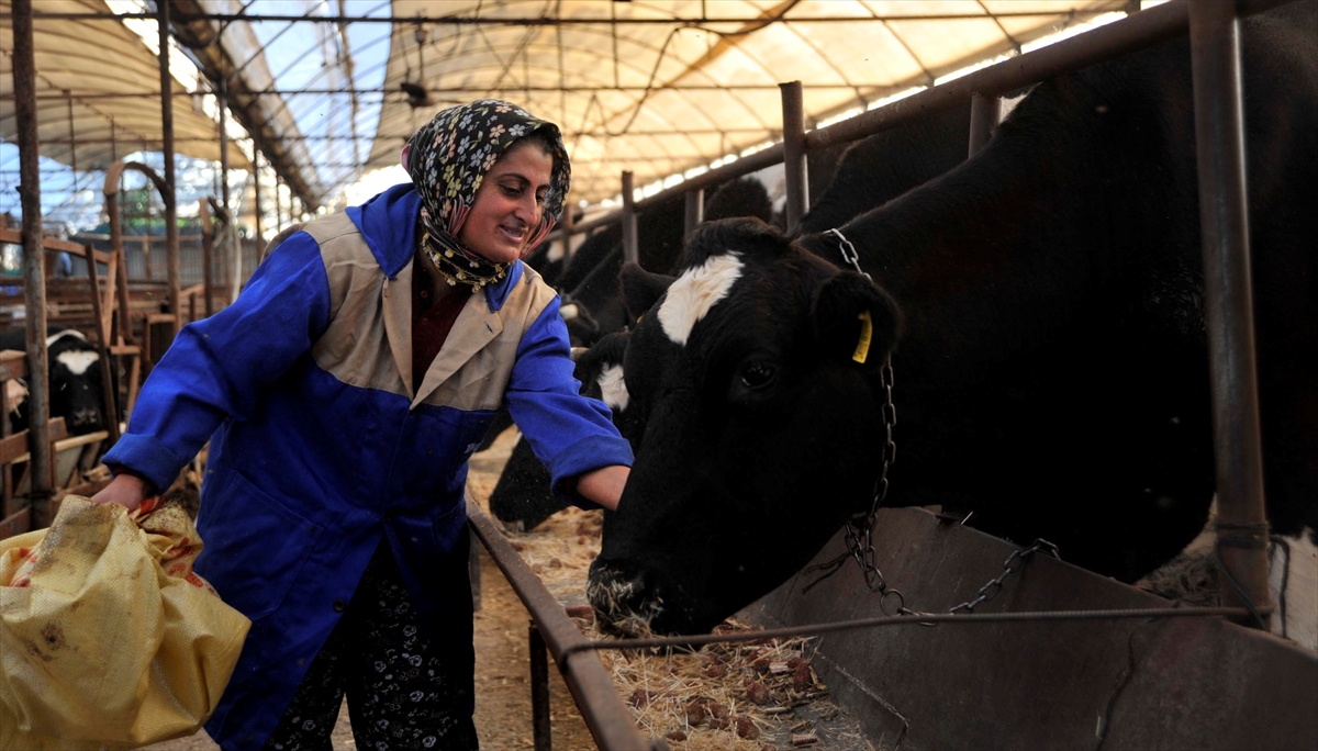 Fatma Öncel, ile ilgili görsel sonucu