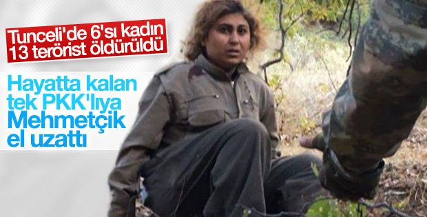 Tunceli'de 6'sı kadın 13 terörist öldürüldü