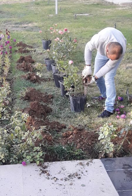 Ceza aldıkları adliyenin bahçesini çiçekle donattılar