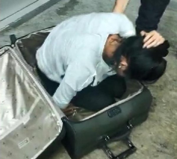 Valizin içinde Türkiye'ye girmeye çalışan kadın yakalandı
