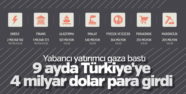 9 ayda Türk şirketlerine 4,1 milyar dolar yabancı yatırım