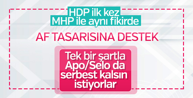 HDP'li Gergerlioğlu genel af çağrısı yaptı