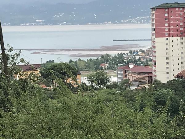 Ordu'da tonlarca fındığın denize aktığı anlar