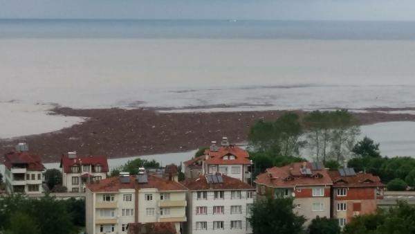 Ordu'da tonlarca fındığın denize aktığı anlar