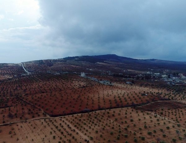 Afrin'de teröristlerden temizlenen Marin Köyü