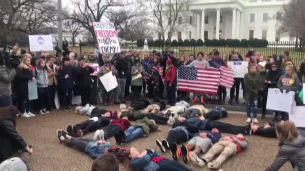 Silah yasasına Beyaz Saray önünde yatarak protesto