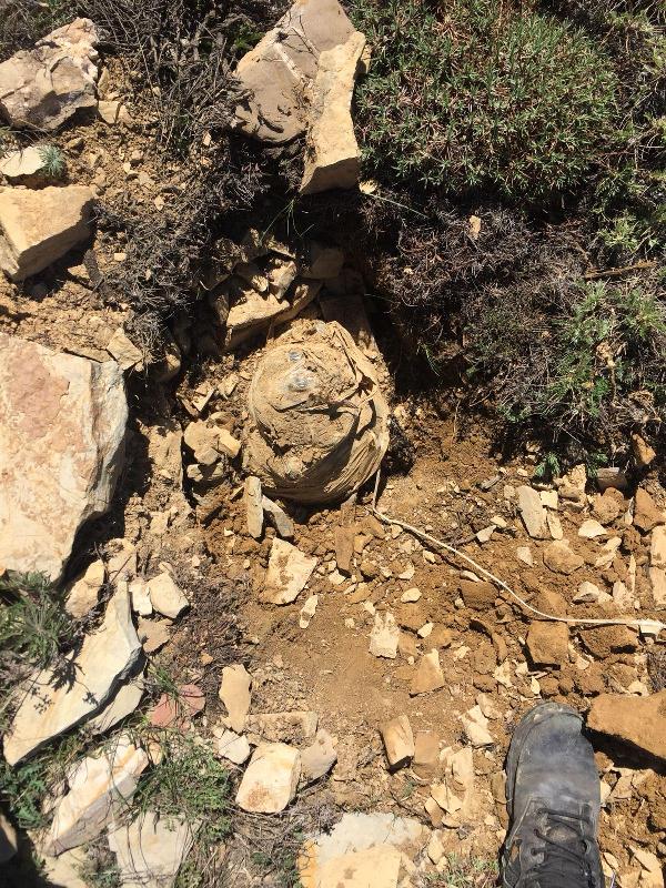 Tunceli'de teröristlere ait mühimmat ele geçirildi