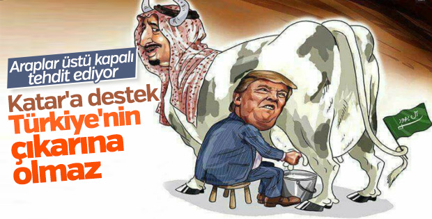 BAE'den Türkiye'ye Katar tehdidi