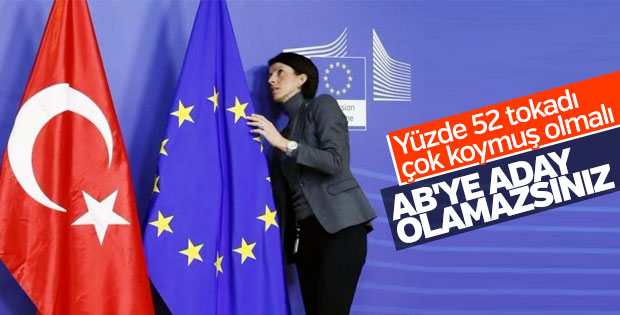 Avusturya, Türkiye'nin AB üyeliğine karşı