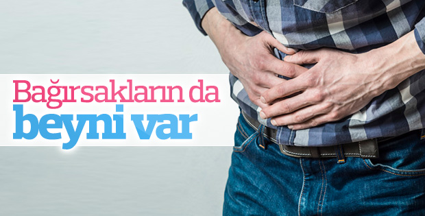 Vücuttaki ikinci beyin bağırsaklarda bulundu