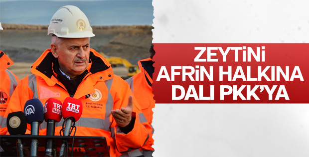 Başbakan: Zeytinin dalları teröristlere gidiyor