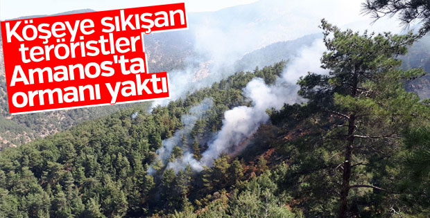Teröristler Amanos'ta ormanı ateşe verdi