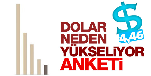 MetroPoll'ün dolar anketi