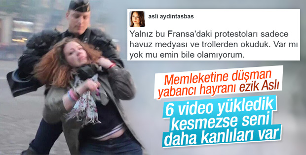 Aslı Aydıntaşbaş'tan skandal Fransa tweet'i