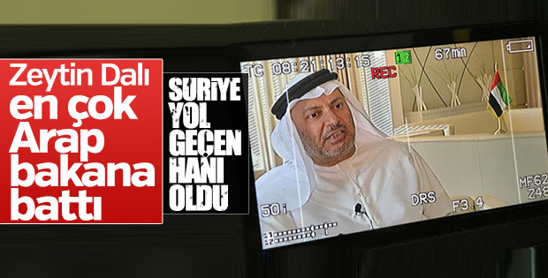 BAE Afrin operasyonuna tepkili