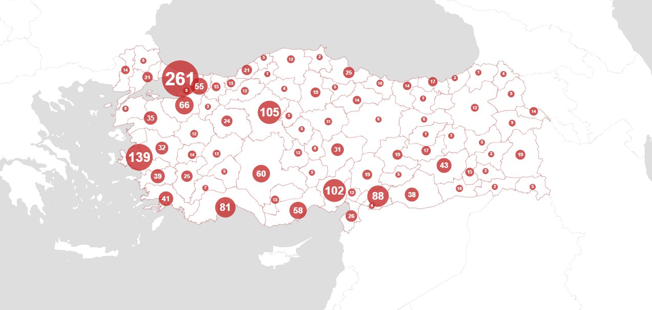 Türkiye'de işlenen kadın cinayetlerinin haritası