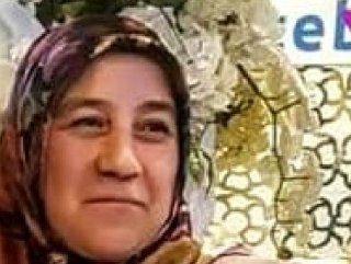 Ceviz ağacından düşen kadın kurtarılamadı