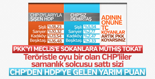 HDP'li Ertuğrul Kürkçü'den CHP'lileri kızdıran paylaşım