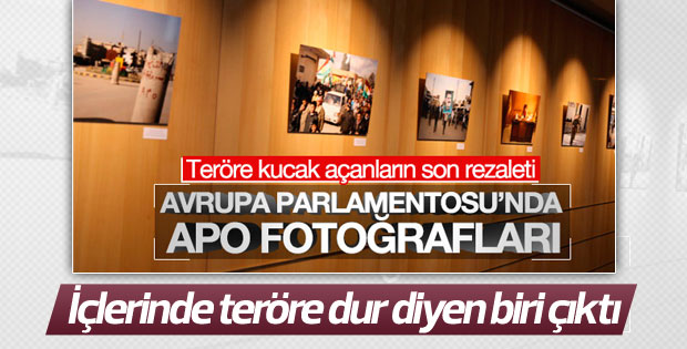 Çek üyeden Avrupa Parlamentosu'na terör tepkisi