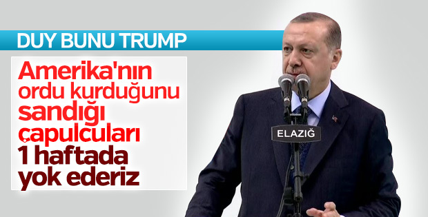 Cumhurbaşkanı Erdoğan Afrin'e operasyon sinyali verdi