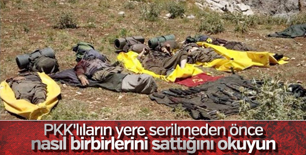 Tunceli'de 6 PKK'lının öldürüldüğü operasyonun detayları