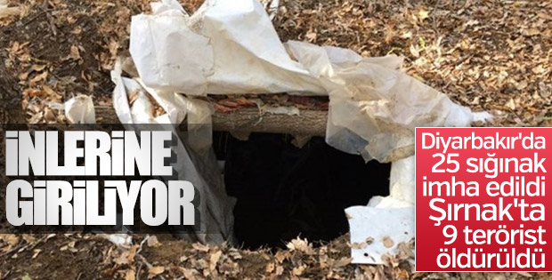 Diyarbakır, Şırnak ve Muş'ta terör operasyonu