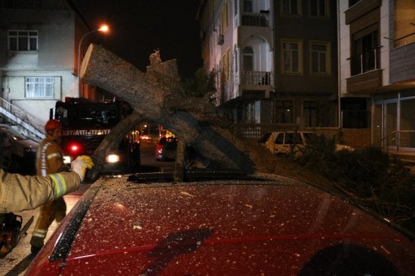 Ataşehir'de kökü çürüyen ağaç bir aracın üstüne devrildi