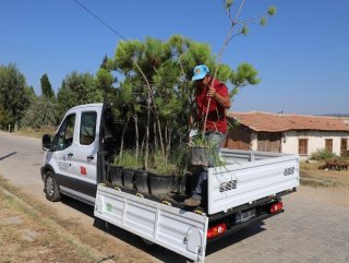 Turgutlu’nun kırsal mahalleleri ağaçlandırılıyor