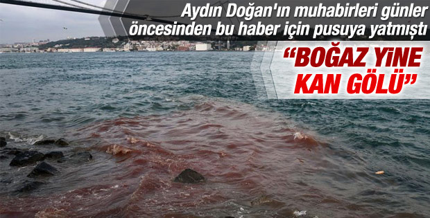DHA'nın geleneksel kurban haberi: Boğaz kan gölü