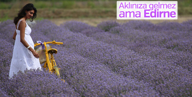Edirneliler fotoğraf için lavanta tarlalarına koştu