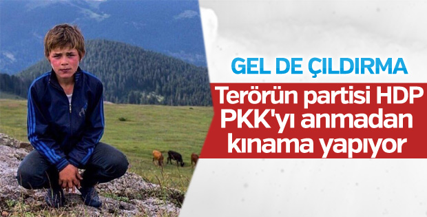 HDP'den Eren Bülbül mesajı