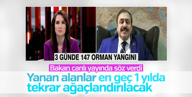 Bakan Eroğlu yanan ormanlık alanlarla ilgili konuştu