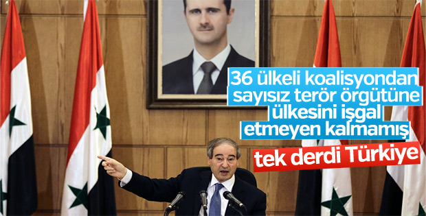 Esad yönetimi, Zeytin Dalı Harekatı'ndan rahatsız