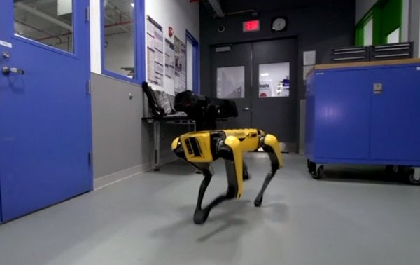 Robot köpekler şimdi de kapı açıyor