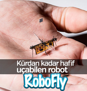 Kürdan ağırlığında robot böcek