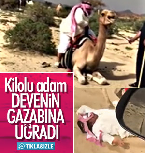 Üzerine binen ağır adamı taşıyamayan deve