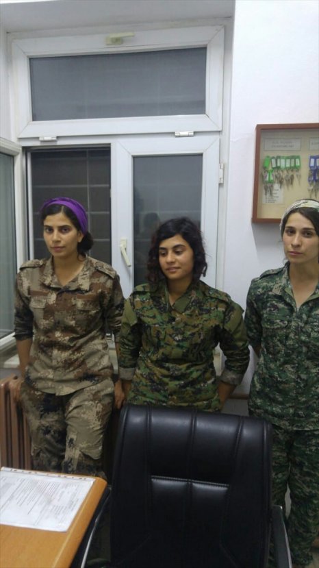 3 PKK'lı terörist teslim oldu