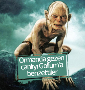Kanada'da Gollum'a benzetilen yaratık