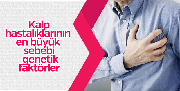 Kalp hastalıklarının en büyük sebebi genetik faktörler