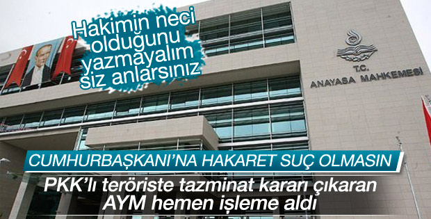 Cumhurbaşkanı'na hakaret suçunun iptalini AYM işleme aldı