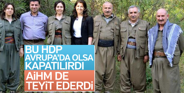 'HDP Avrupa'da olsaydı AİHM kapatılsın derdi'