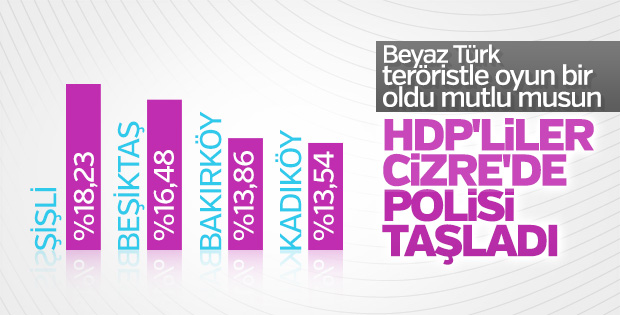 HDP'lilerin kutlamasında polise taş atanlara müdahale