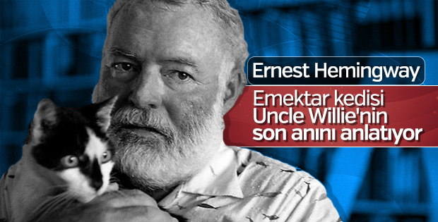 Hemingway ve kedileri
